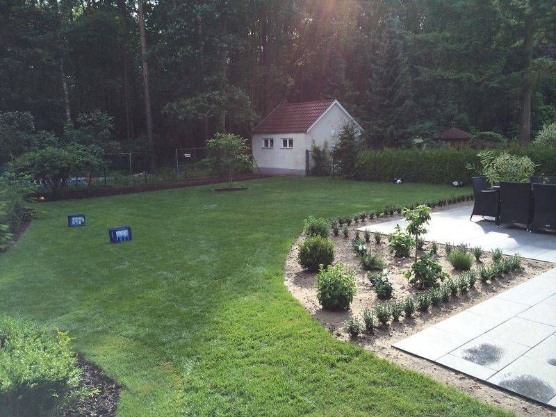 grüner Rasen im Garten