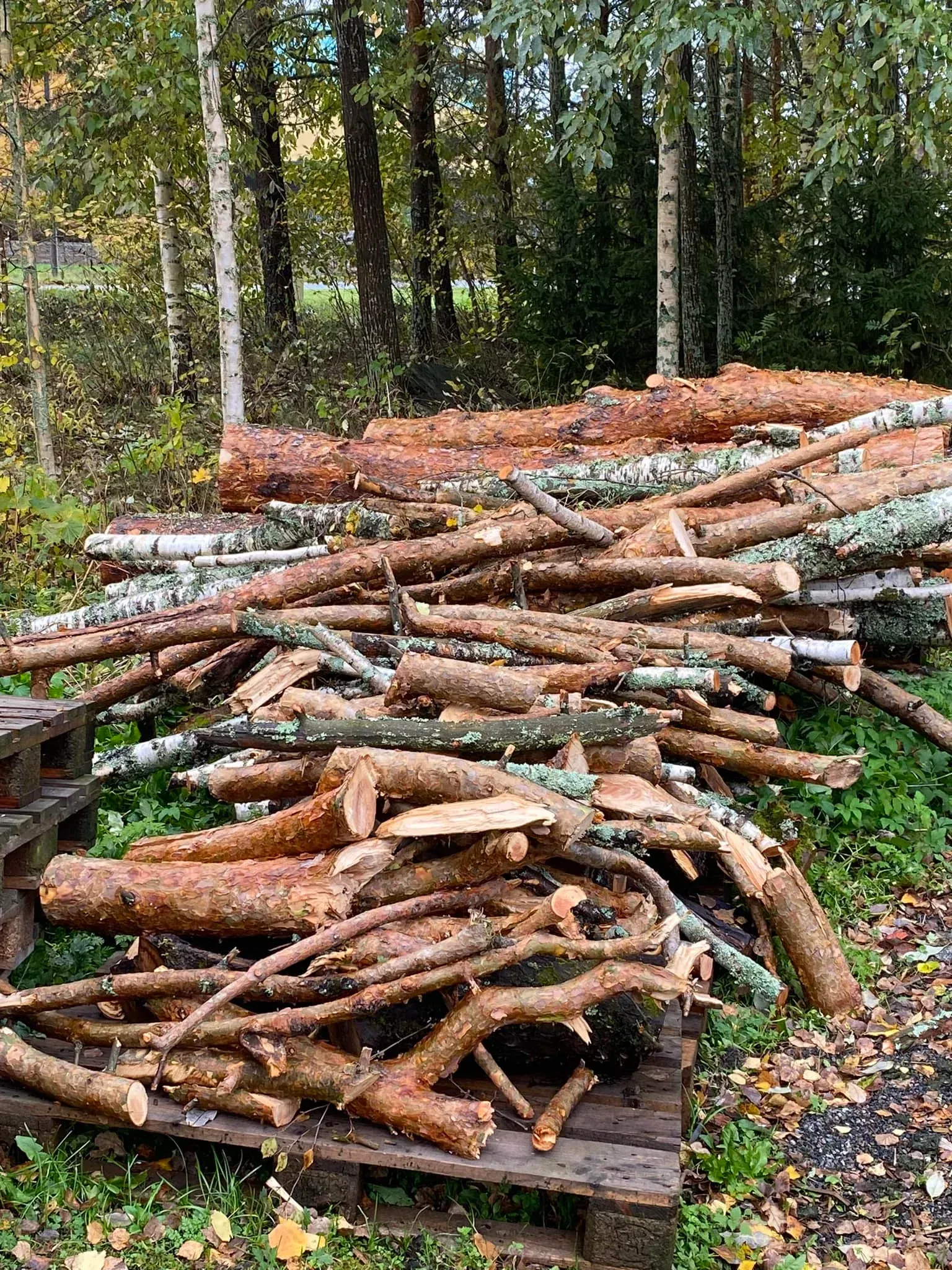 Kiinteistöhuollon päivystys ja huoltotyöt Hämeenlinna Huoltopalvelu Nyqvist Oy.
