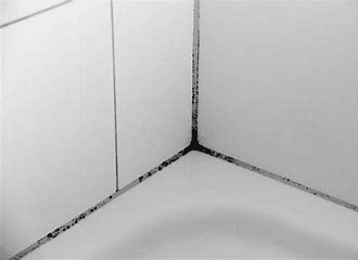 PCB-haltige Fugendichtmassen - Voser-s-Fugen – Hägglingen