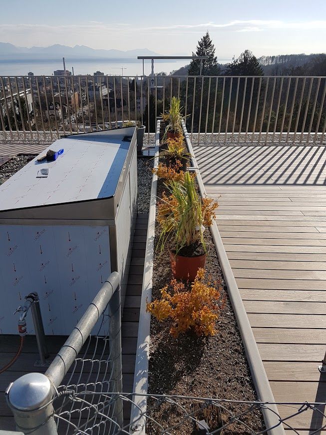 Terrasse en bois et clôture - LMpaysage