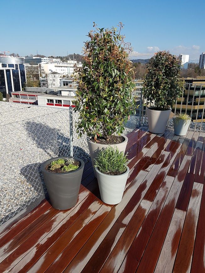 Terrasse en bois et clôture - LMpaysage