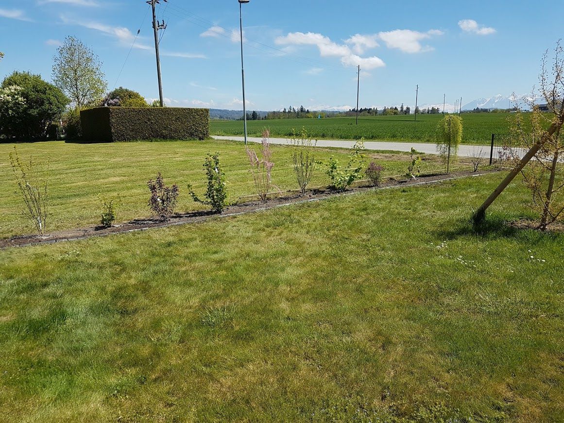 Création de massifs - LMpaysage