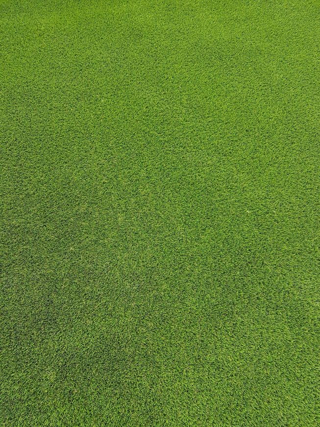 Aménagement extérieur - LMpaysage