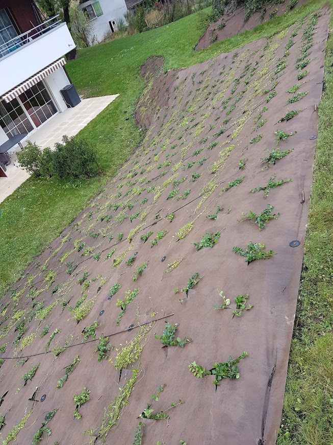 Aménagement extérieur et semis - LMpaysage