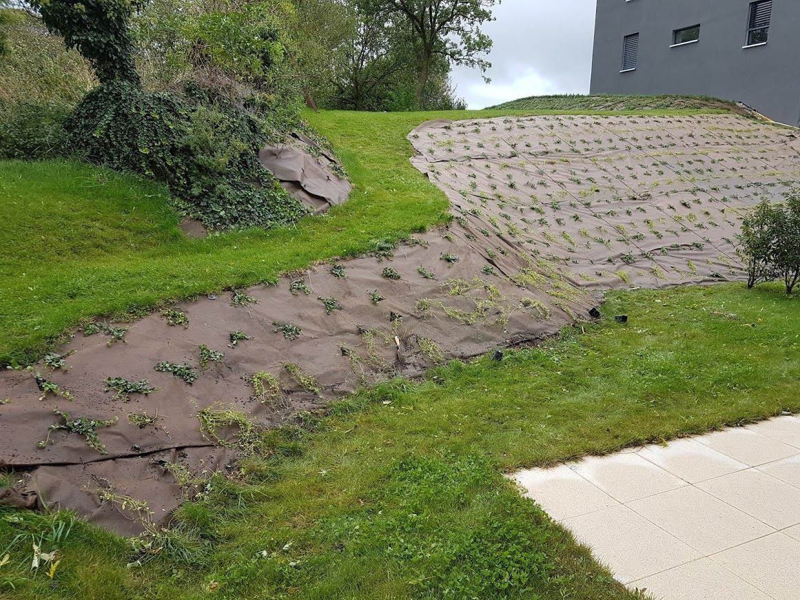 Aménagement extérieur et semis - LMpaysage