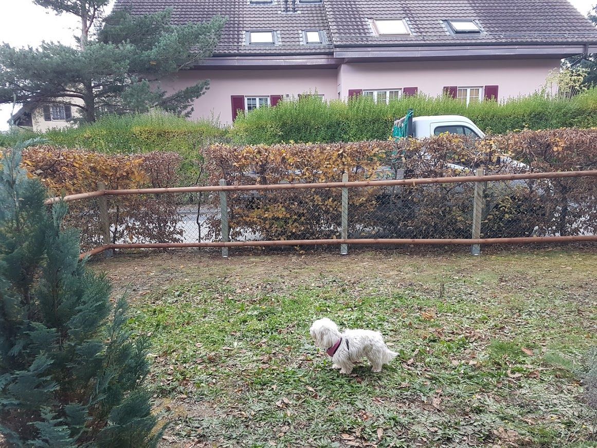 Clôture - LMpaysage