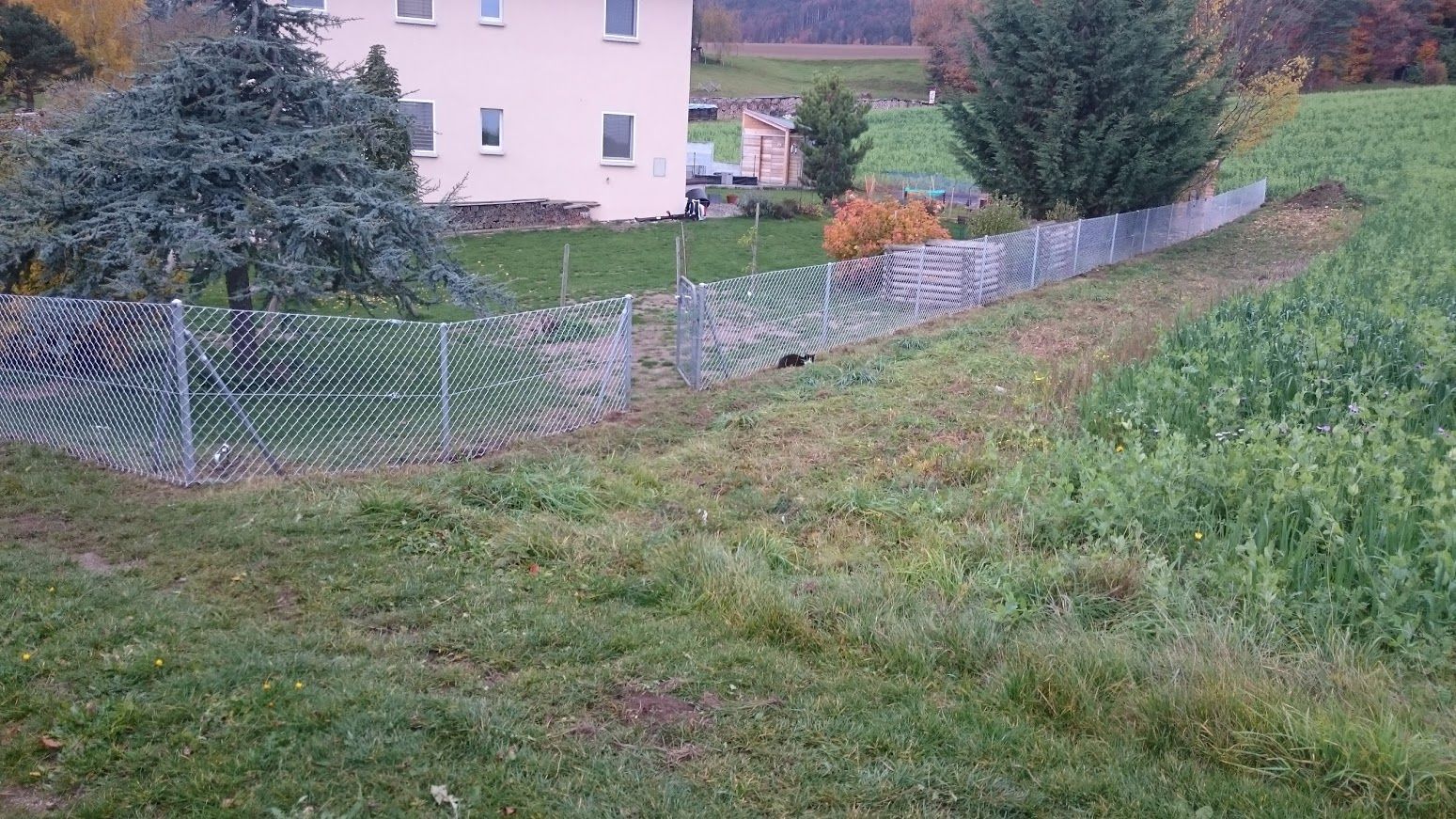 Pose de bPose de clôture - LMpaysagearrière en bois - LMpaysage