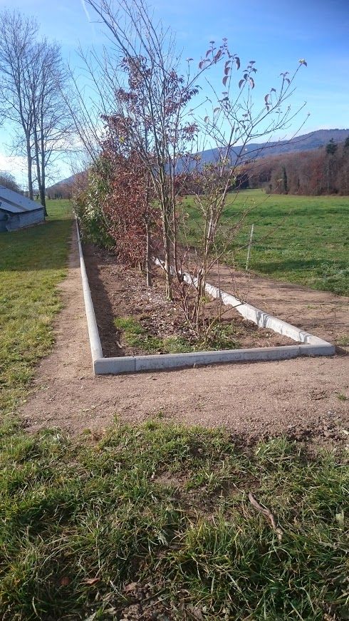 Plantation d'arbres - LMpaysage