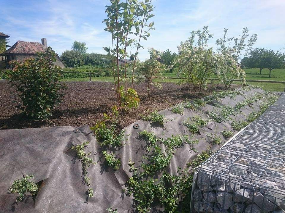 Création de mur en gabions - LMpaysage