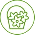 Icon: Pflanze