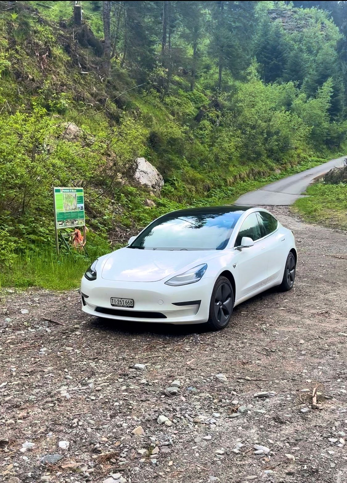 Noleggio con conducente professionale