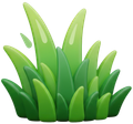 Brins d'herbe verts stylisés.