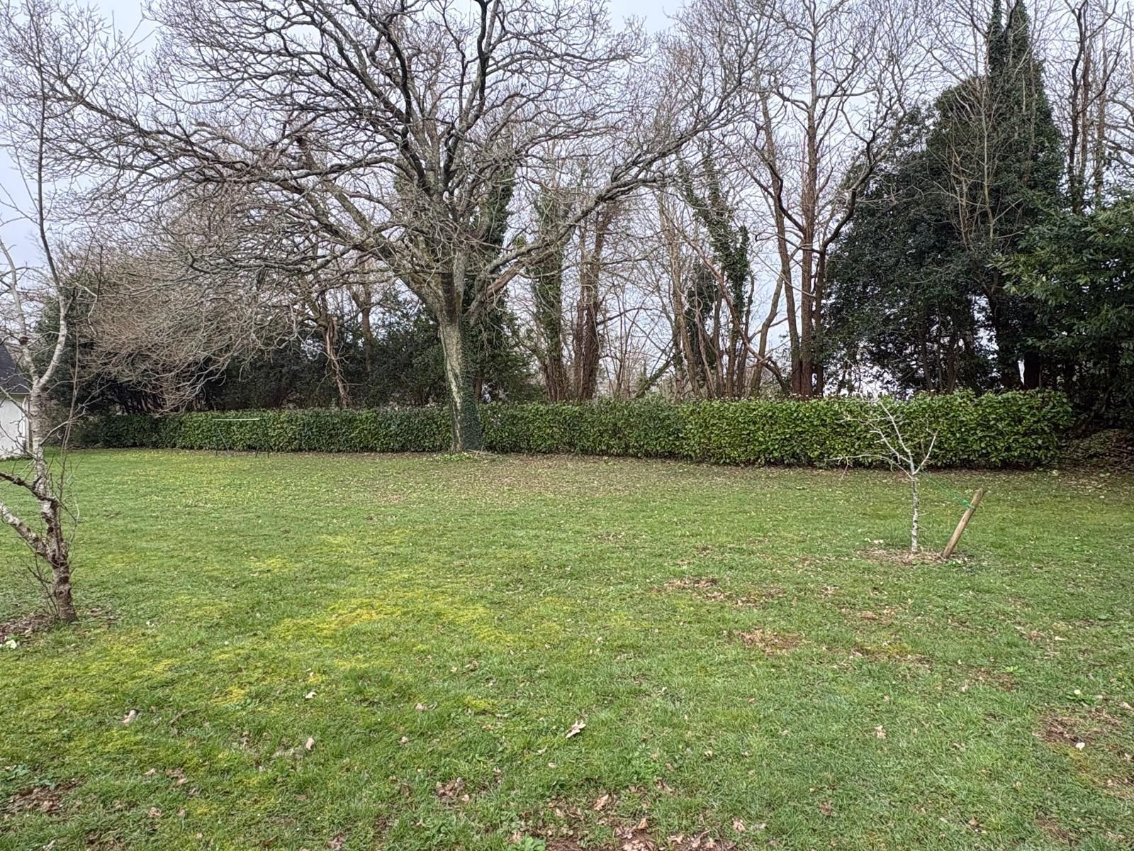 Champ bordé d'arbres dénudés et d'une haie par temps couvert.