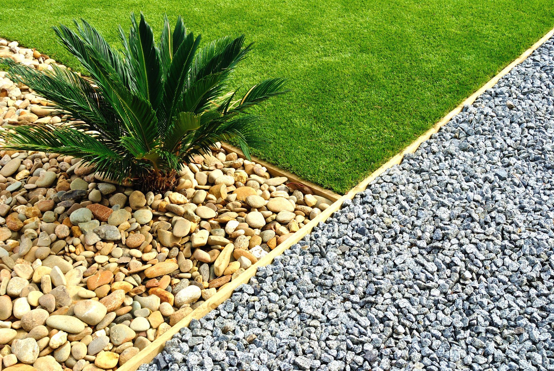 Jardin paysager avec pelouse verte, rochers et petite plante ressemblant à un palmier au bord d'un chemin de graviers