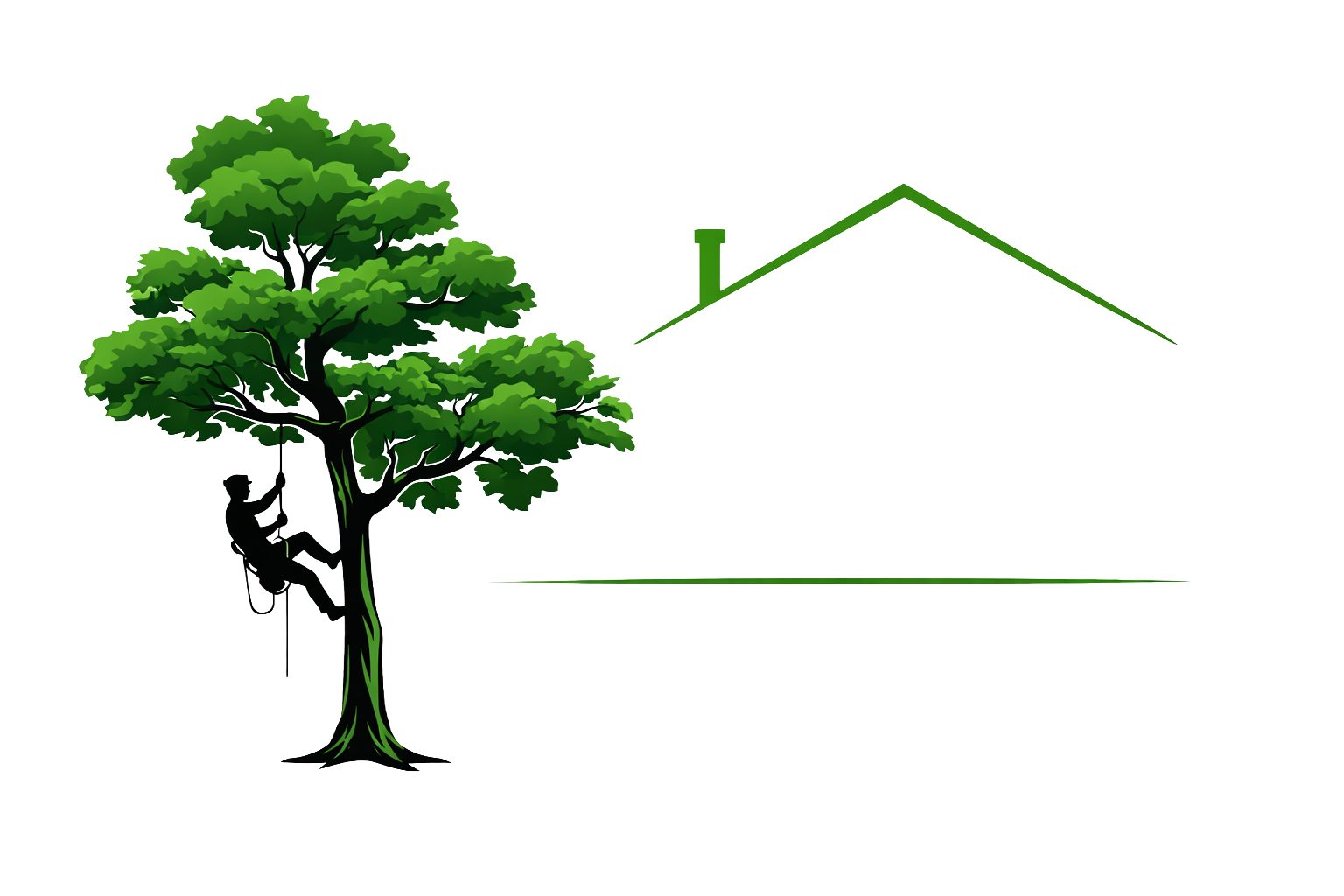 Logo de Tino Paysagiste