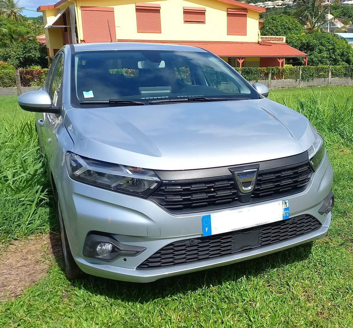 Voiture berline Dacia grise