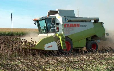 Ein Claas Dominator Mähdrescher erntet an einem sonnigen Tag Sonnenblumen auf einem Feld.