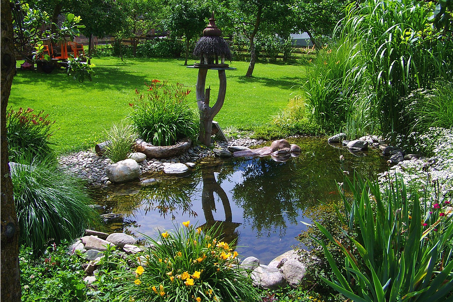 Bassin jardin