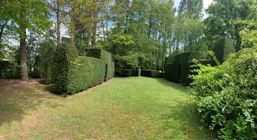 Terrain après nettoyage