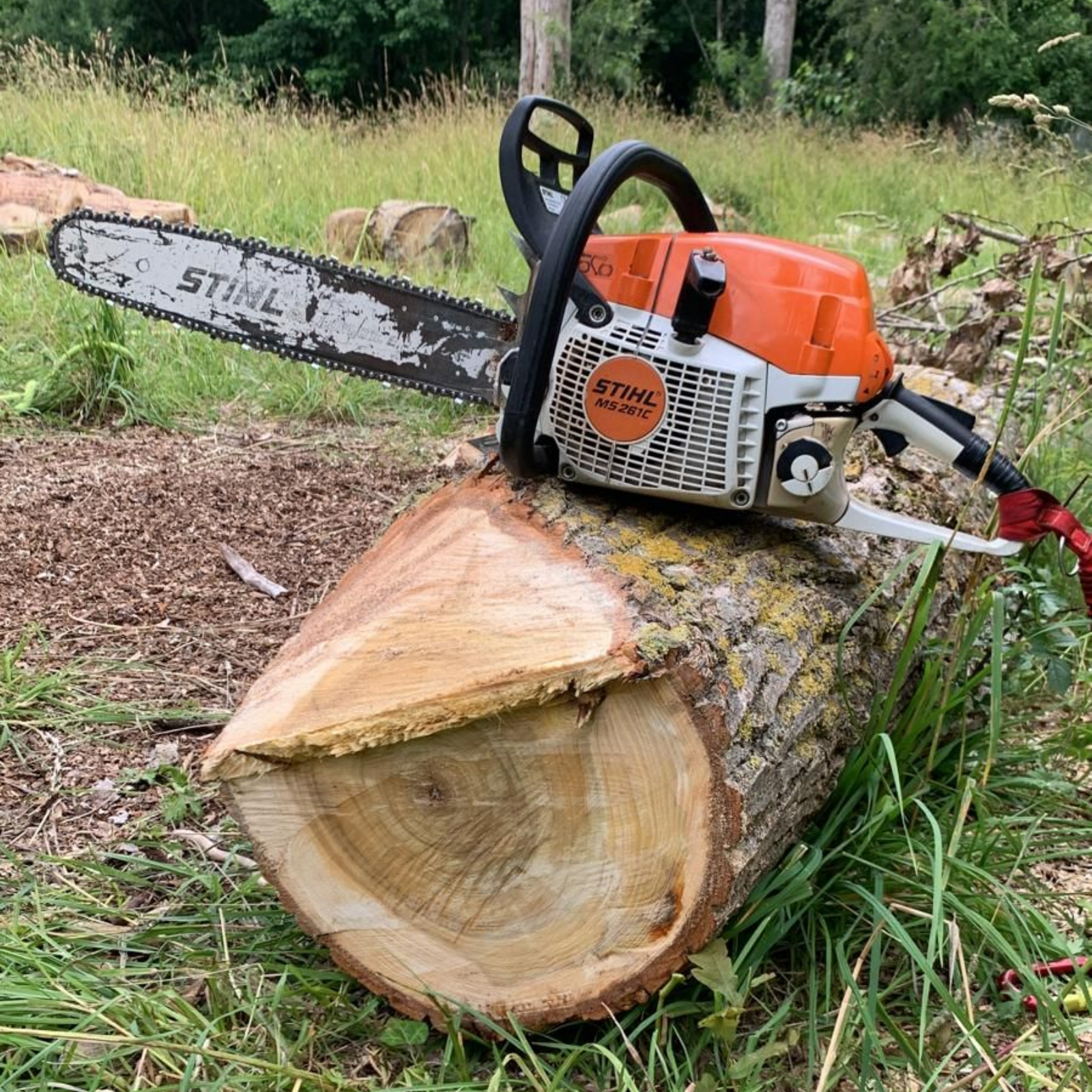 Démontage d'un arbre au sol