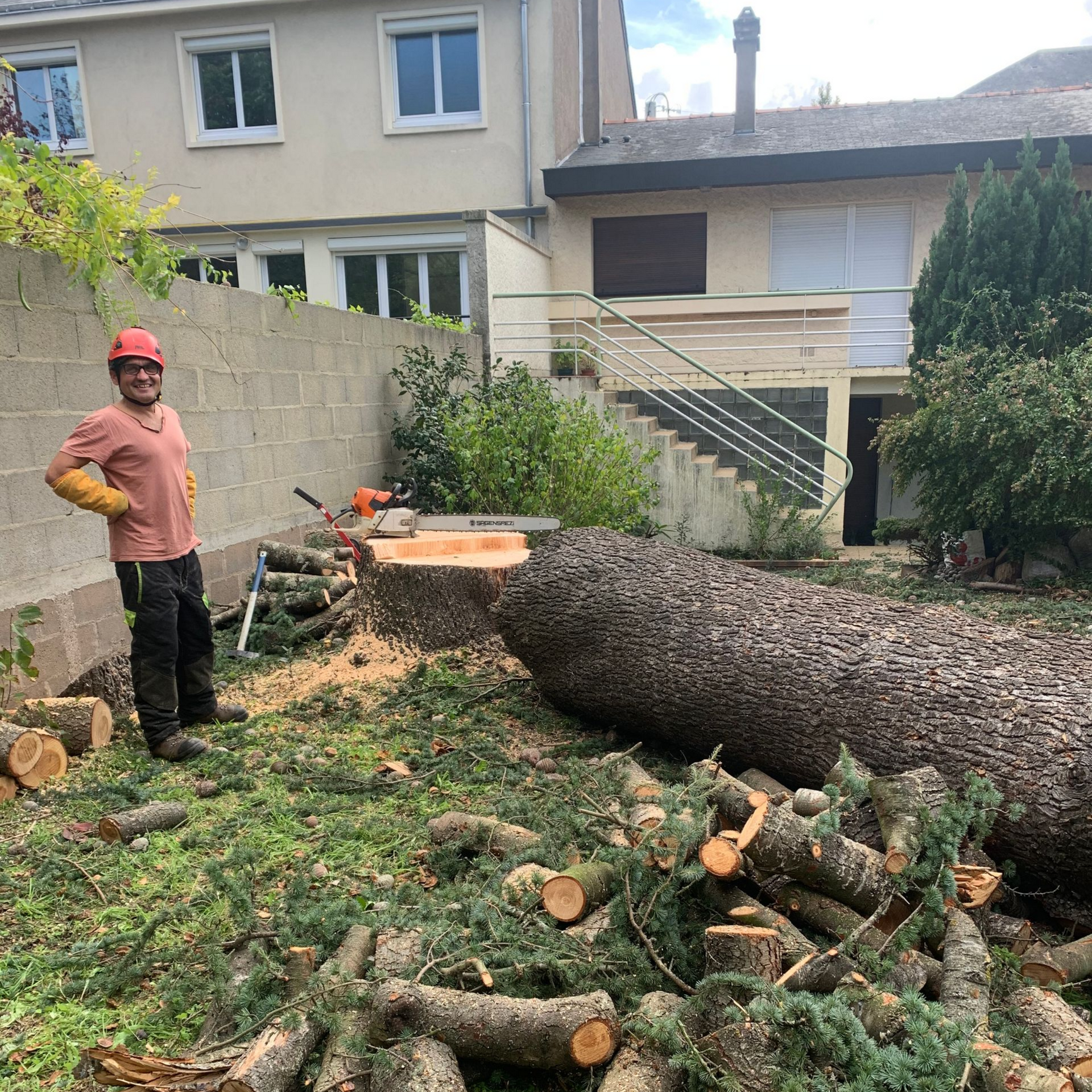 Paysagiste près d'un arbre abattu