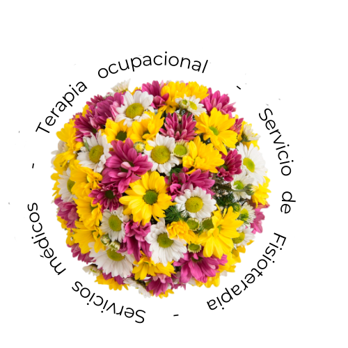 Un ramo de flores en un círculo que dice terapia ocupacional.