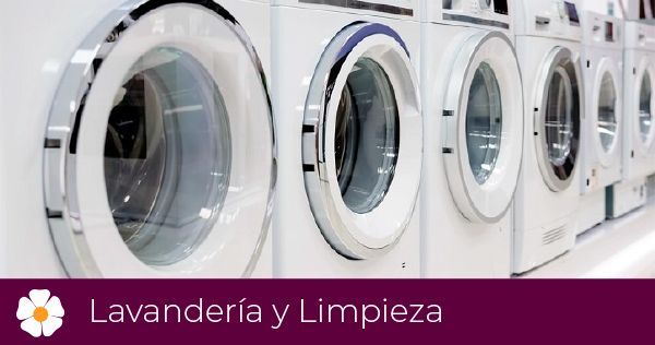 Una fila de lavadoras blancas en una lavandería.