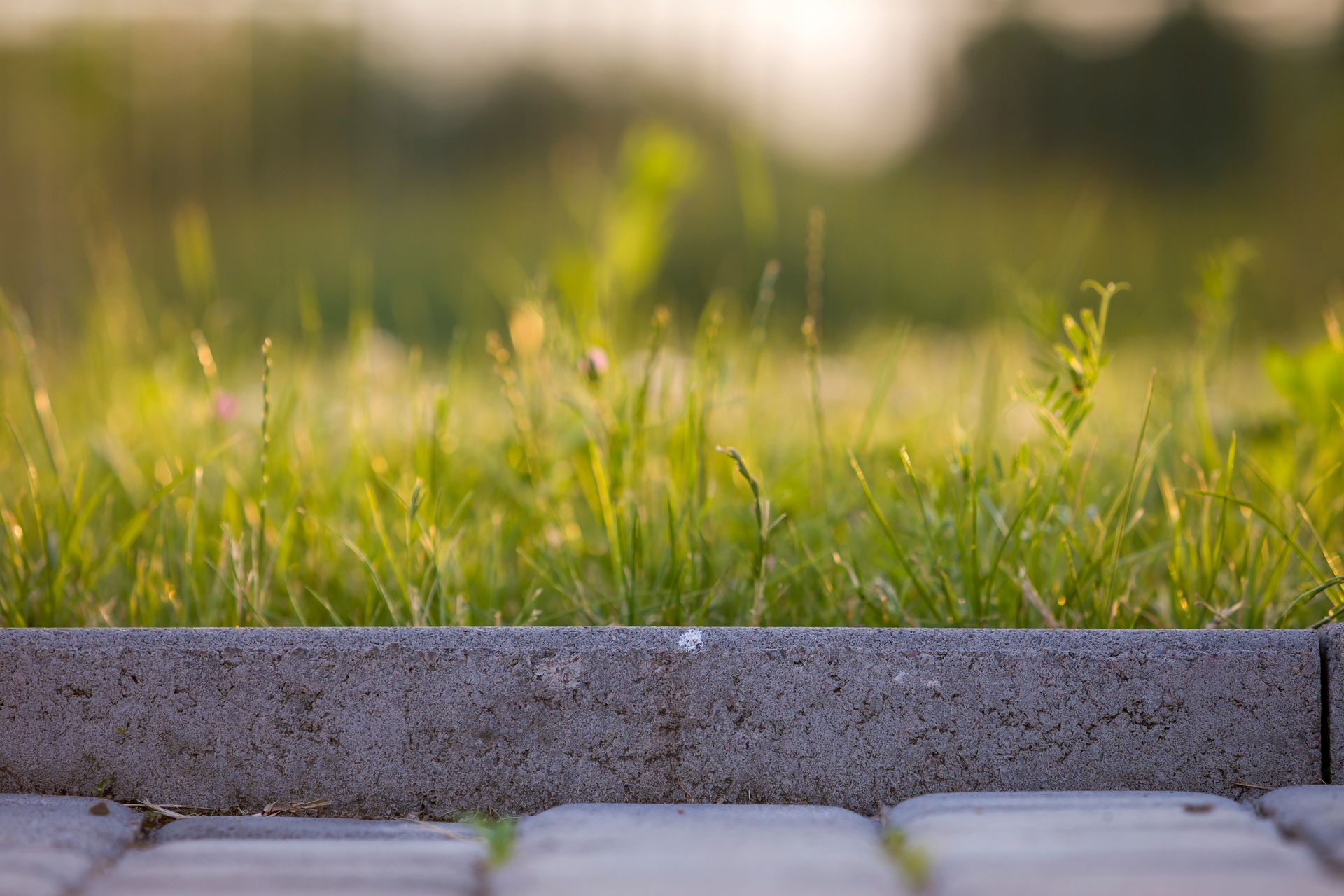 Gros plan sur la bordure avec les herbes derrière.