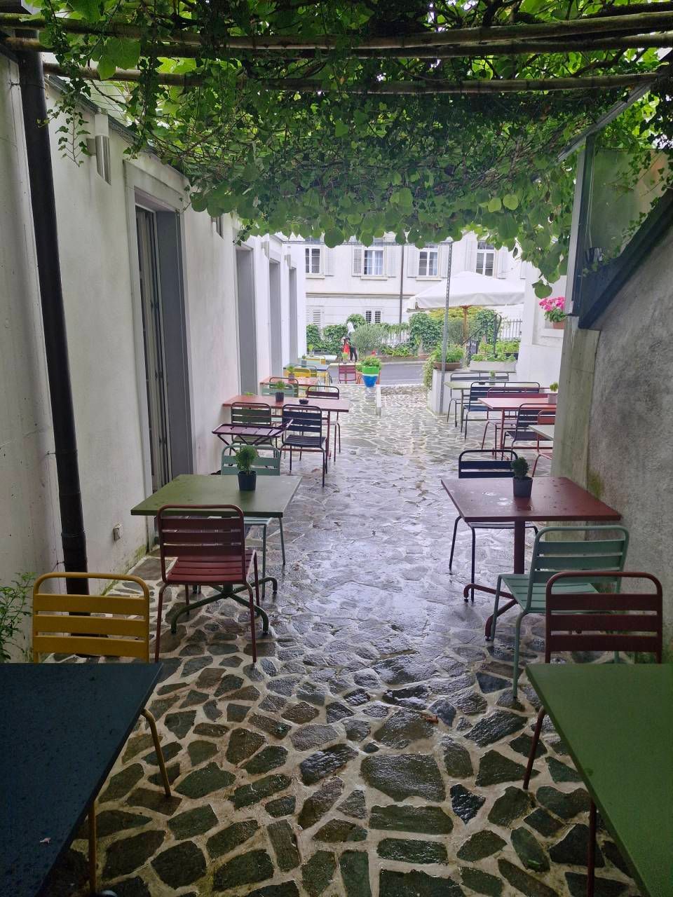 Freiluftcafé mit farbenfrohen Metalltischen und -stühlen, überdacht von einem grünen Weinlaubdach.