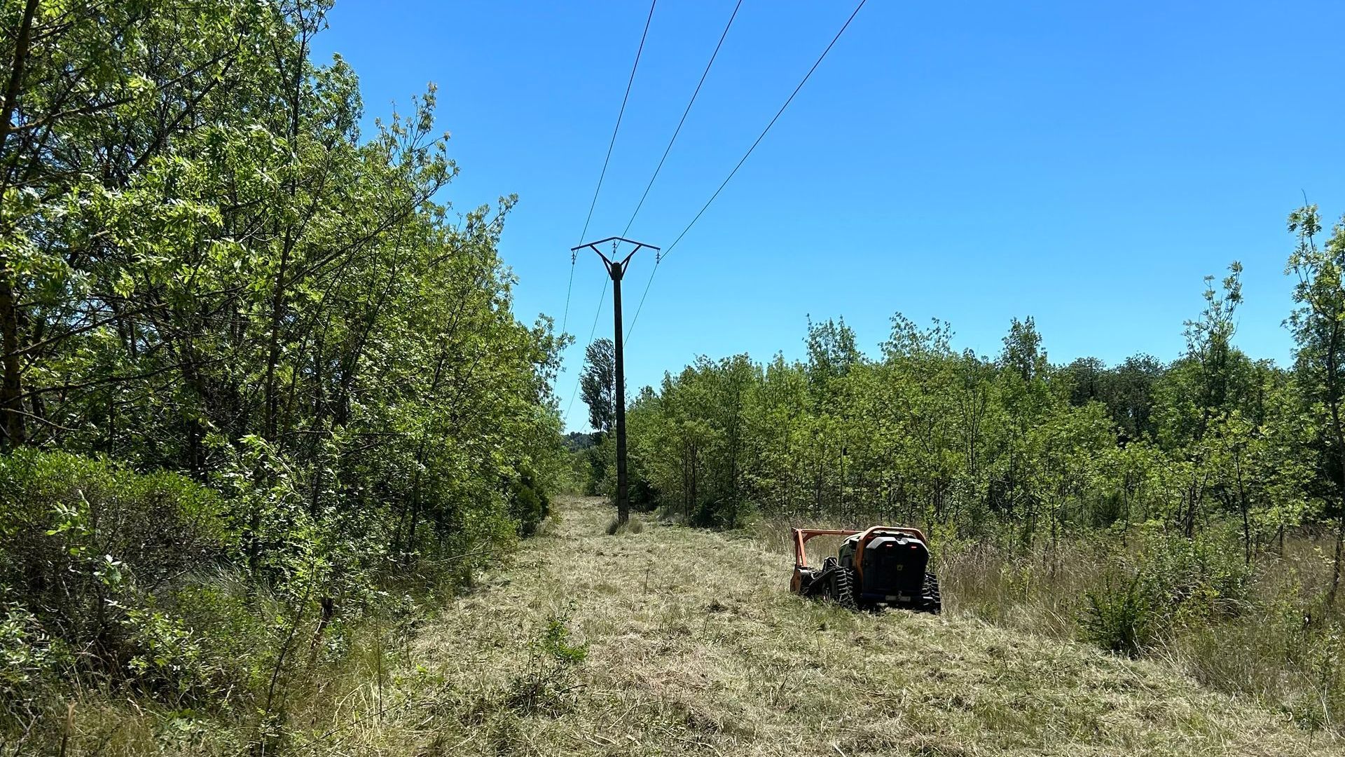 Des hautes herbes près d'une ligne à haute tension avec une débroussailleuse télécommandée