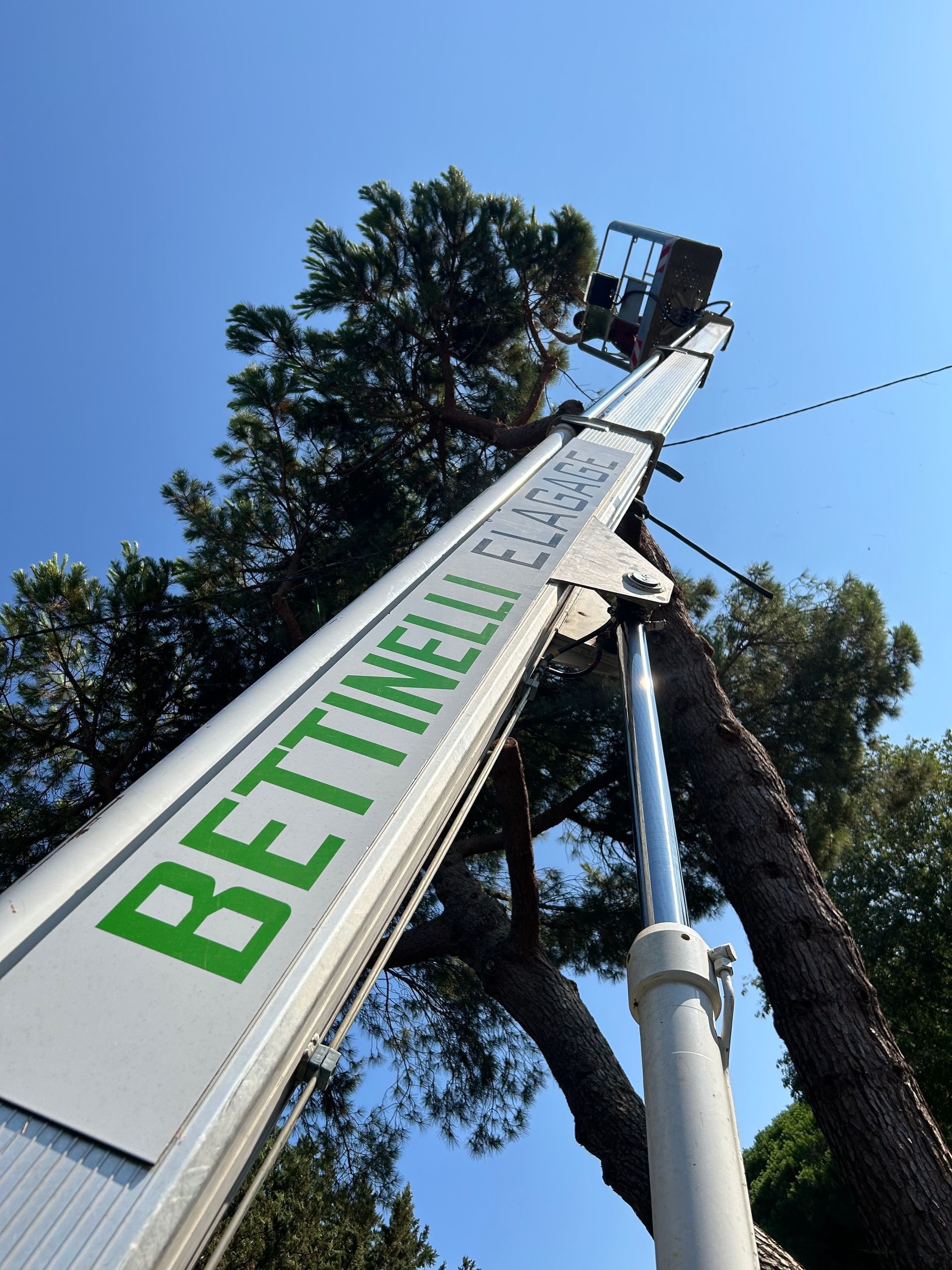 Un élagueur dans uen nacelle qui taille un arbre