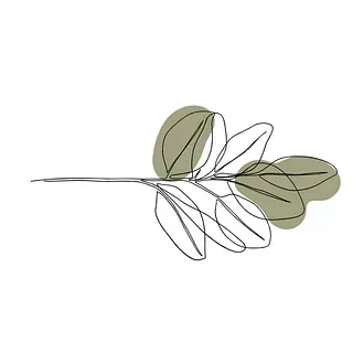 Un dibujo lineal de una hoja verde sobre un fondo blanco.