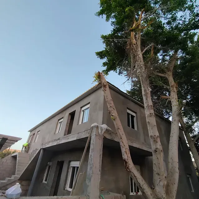 Una casa con un árbol delante de ella.