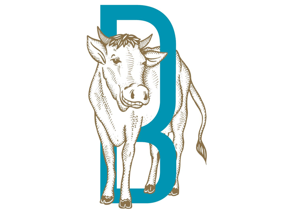 Ein türkisfarbener Buchstabe B, der über eine Strichzeichnung einer Kuh im Vintage-Stil gelegt ist.