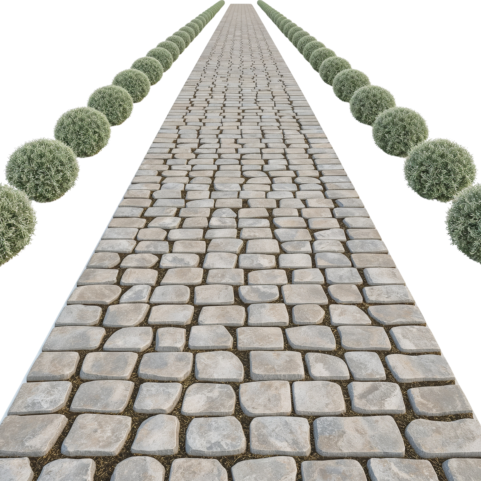 Un chemin pavé s'étendant à perte de vue, bordé de part et d'autre par une rangée d'arbustes verts.