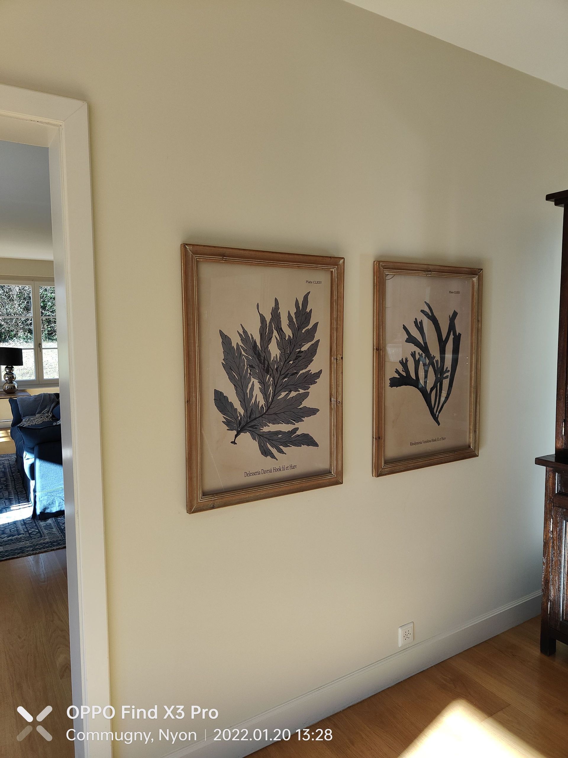 Ortiz Speedy Moving - déménagement suisse et étranger - multiservices - handyman - débarras - Vaud
