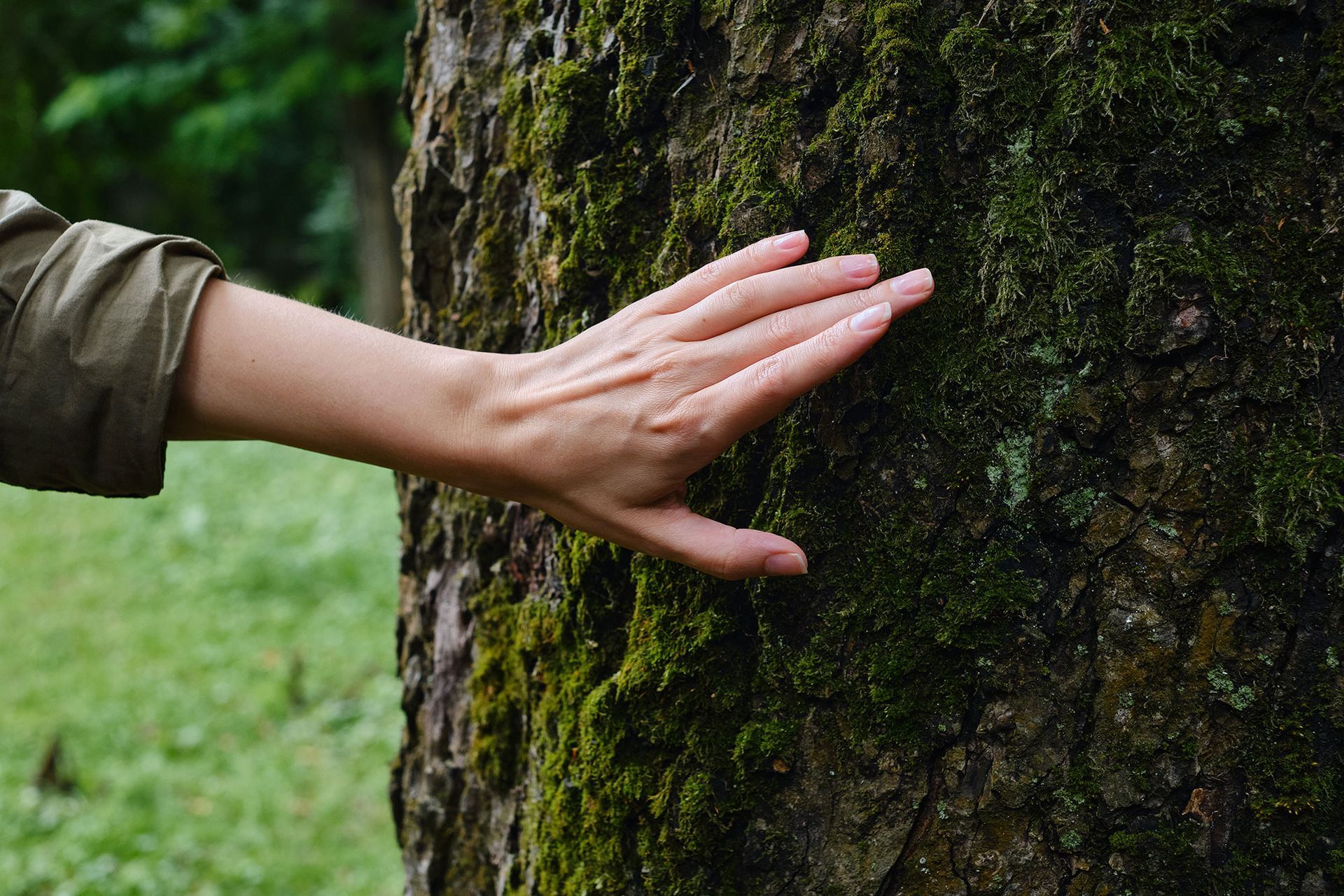 Eine Hand berührt im Freien einen moosbedeckten Baumstamm.