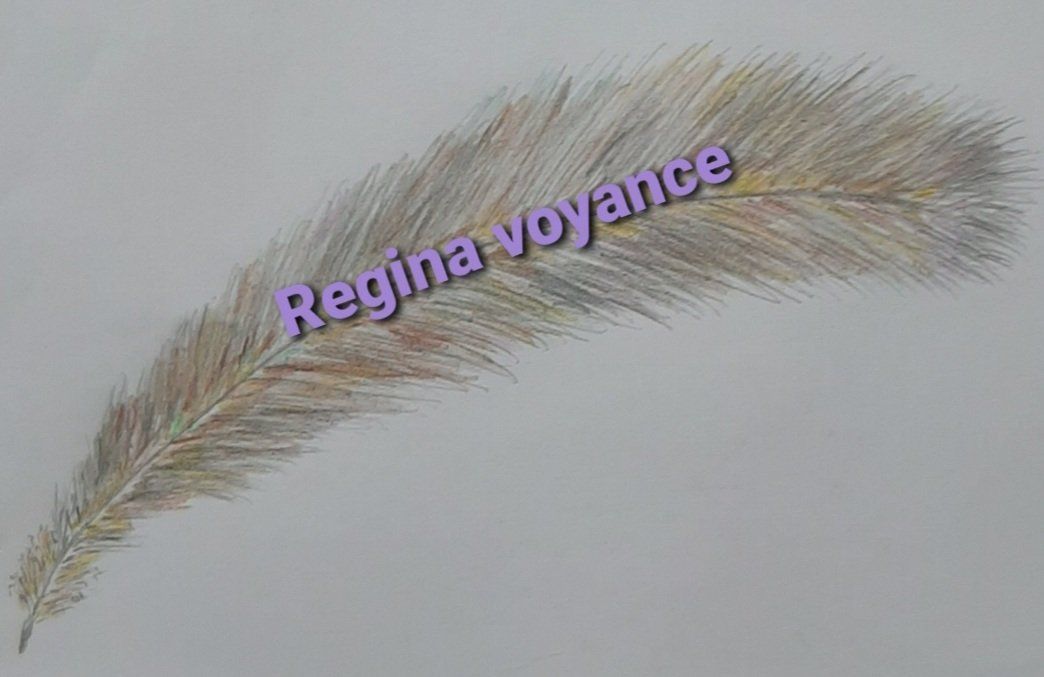 Regina Voyance