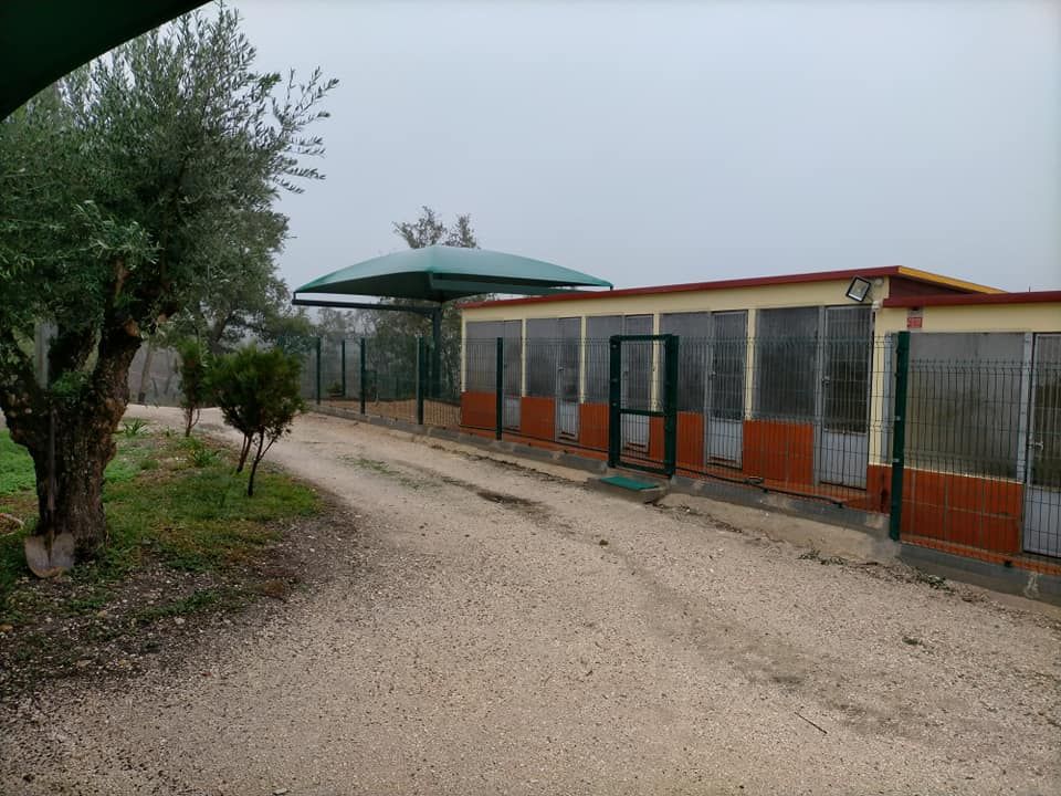 Hotel Canil Alto de São Miguel