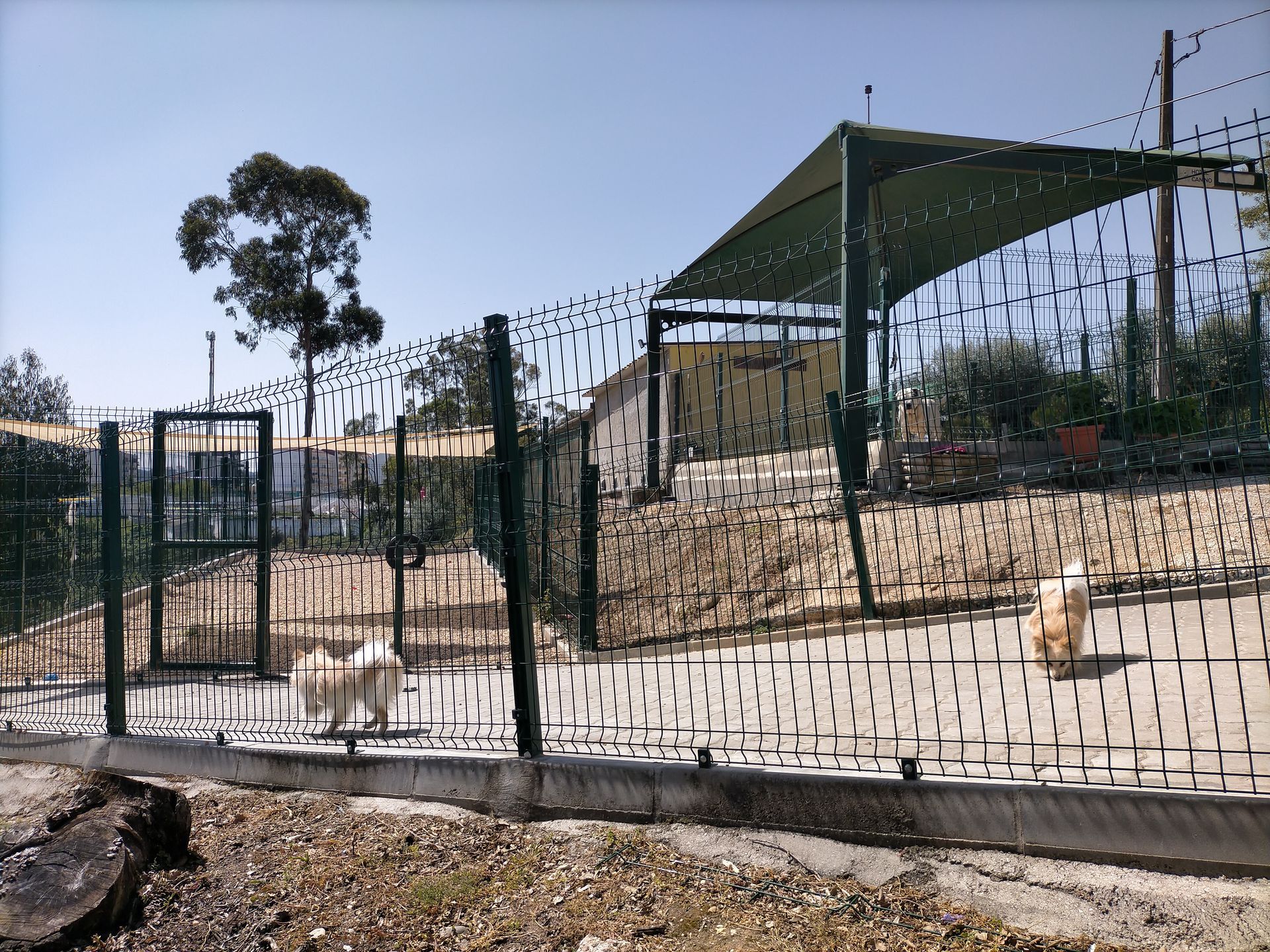 Hotel Canil Alto de São Miguel