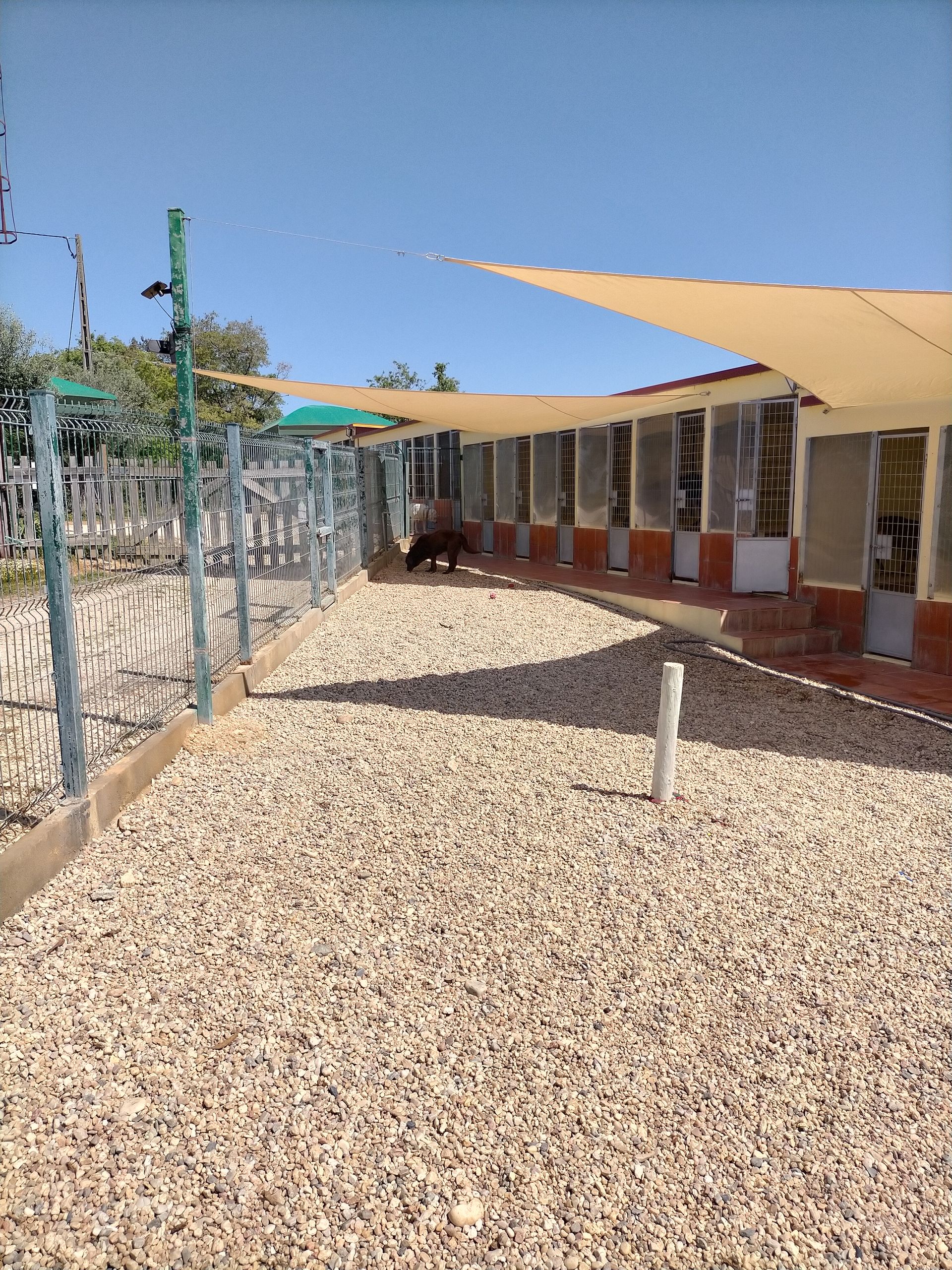 Hotel Canil Alto de São Miguel