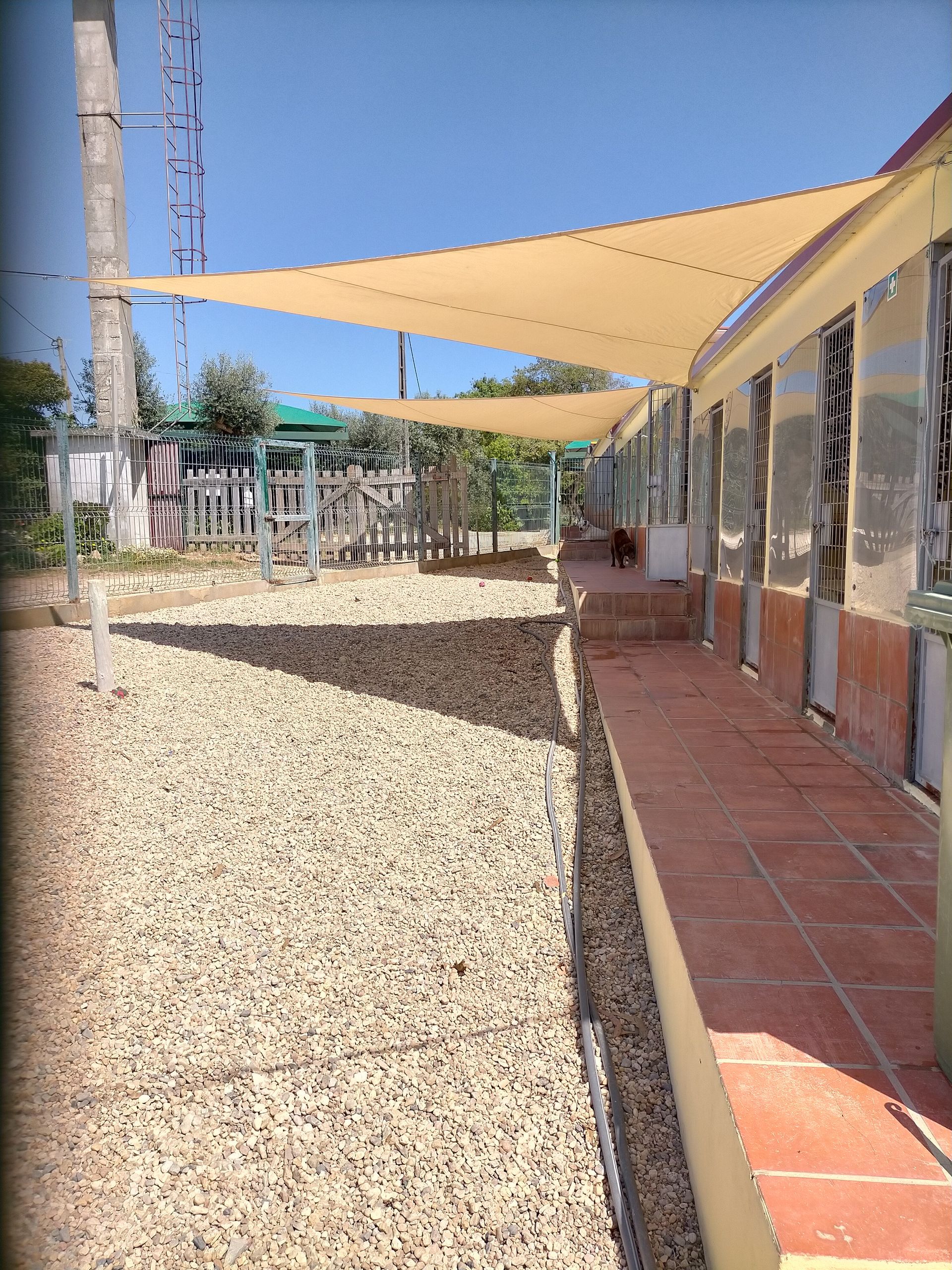 Hotel Canil Alto de São Miguel