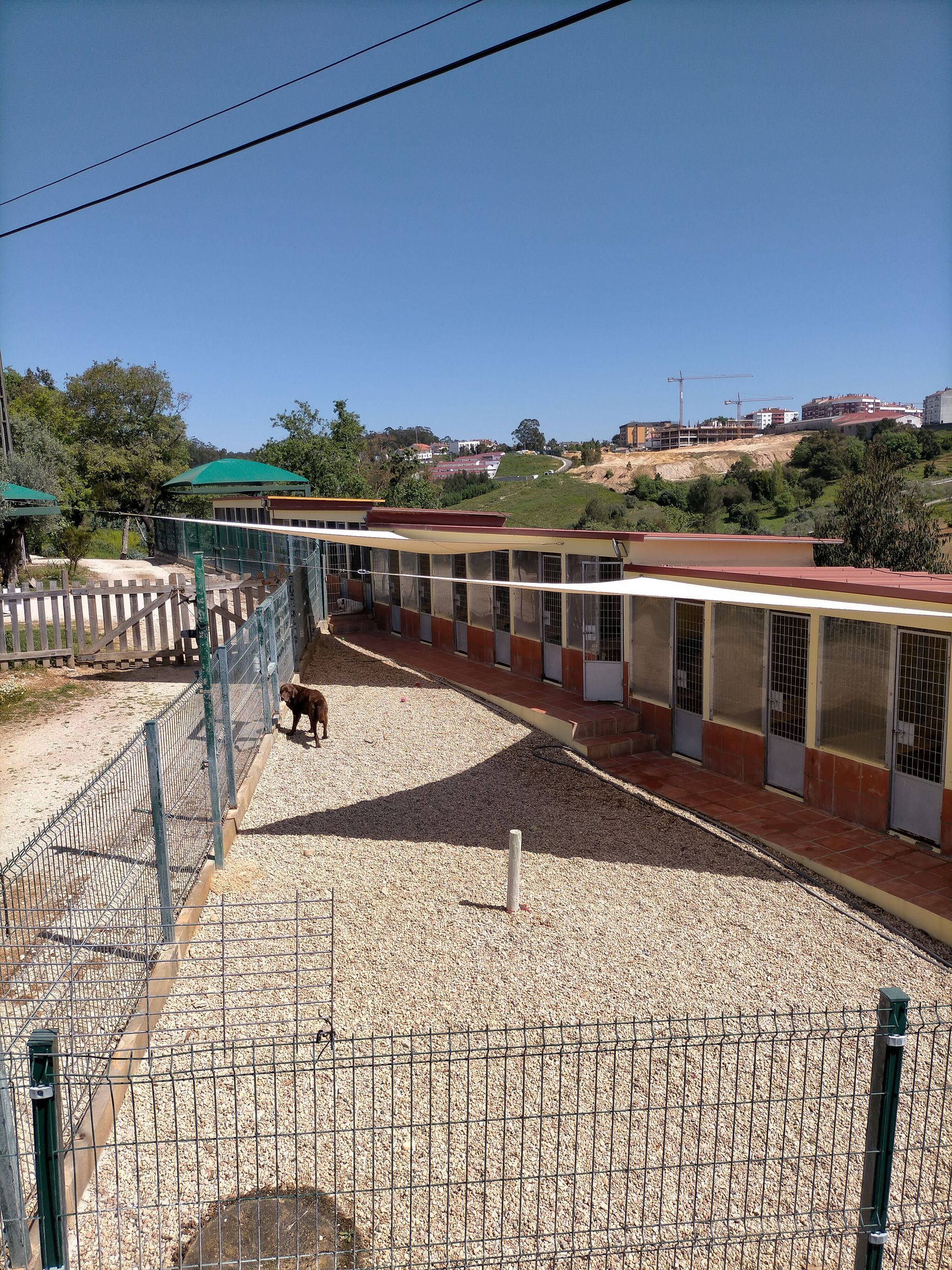 Hotel Canil Alto de São Miguel