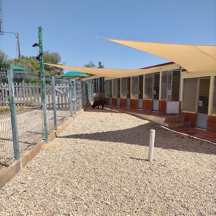 Hotel Canil Alto de São Miguel