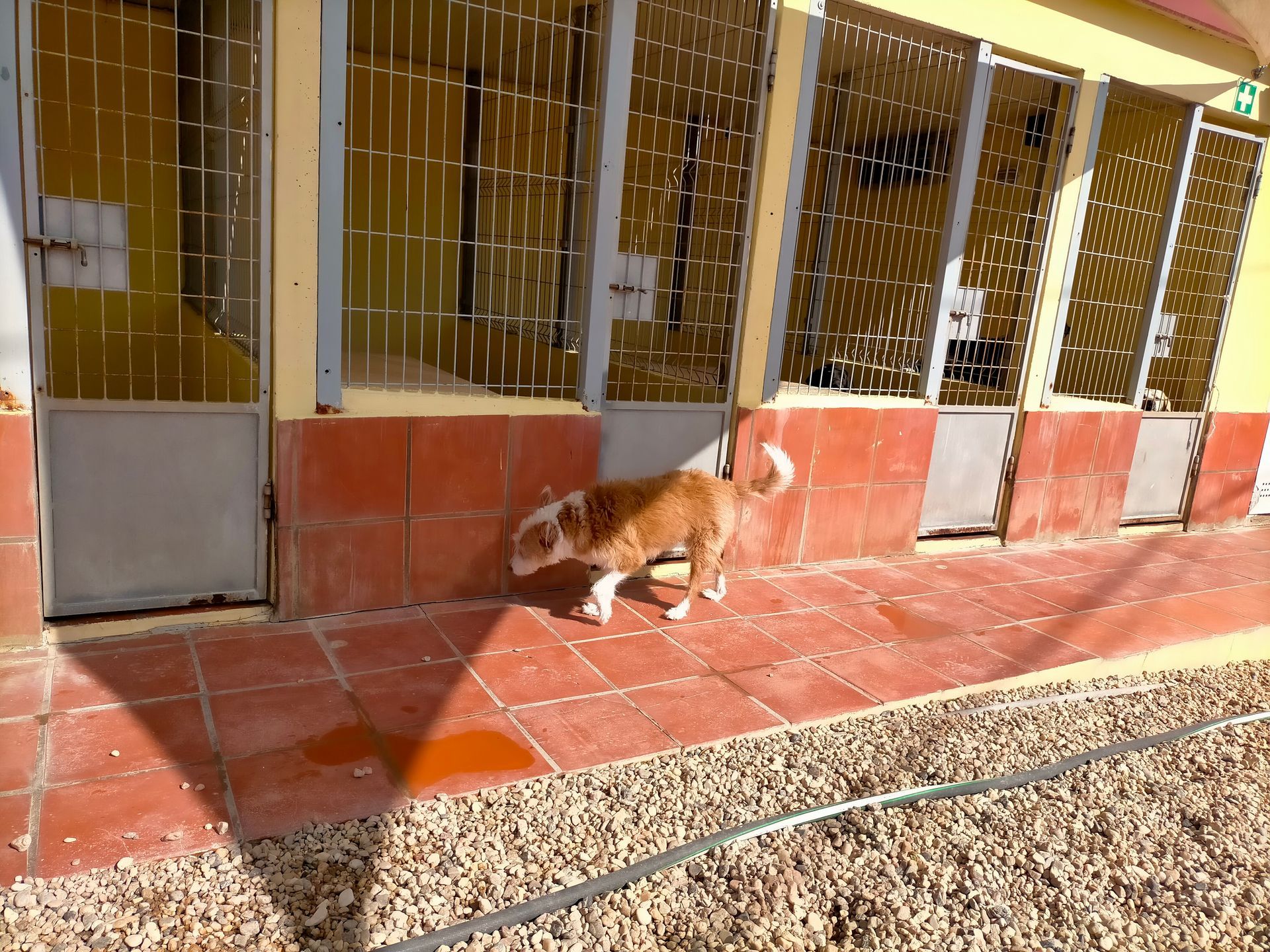 Hotel Canil Alto de São Miguel