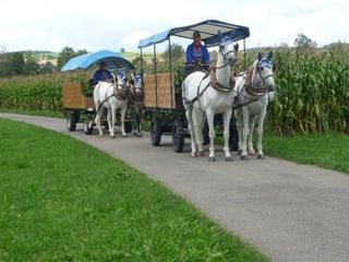 Köchli Pferdefahrten