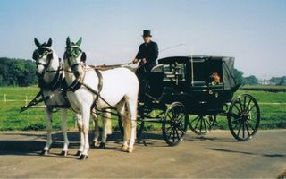 Köchli Pferdefahrten