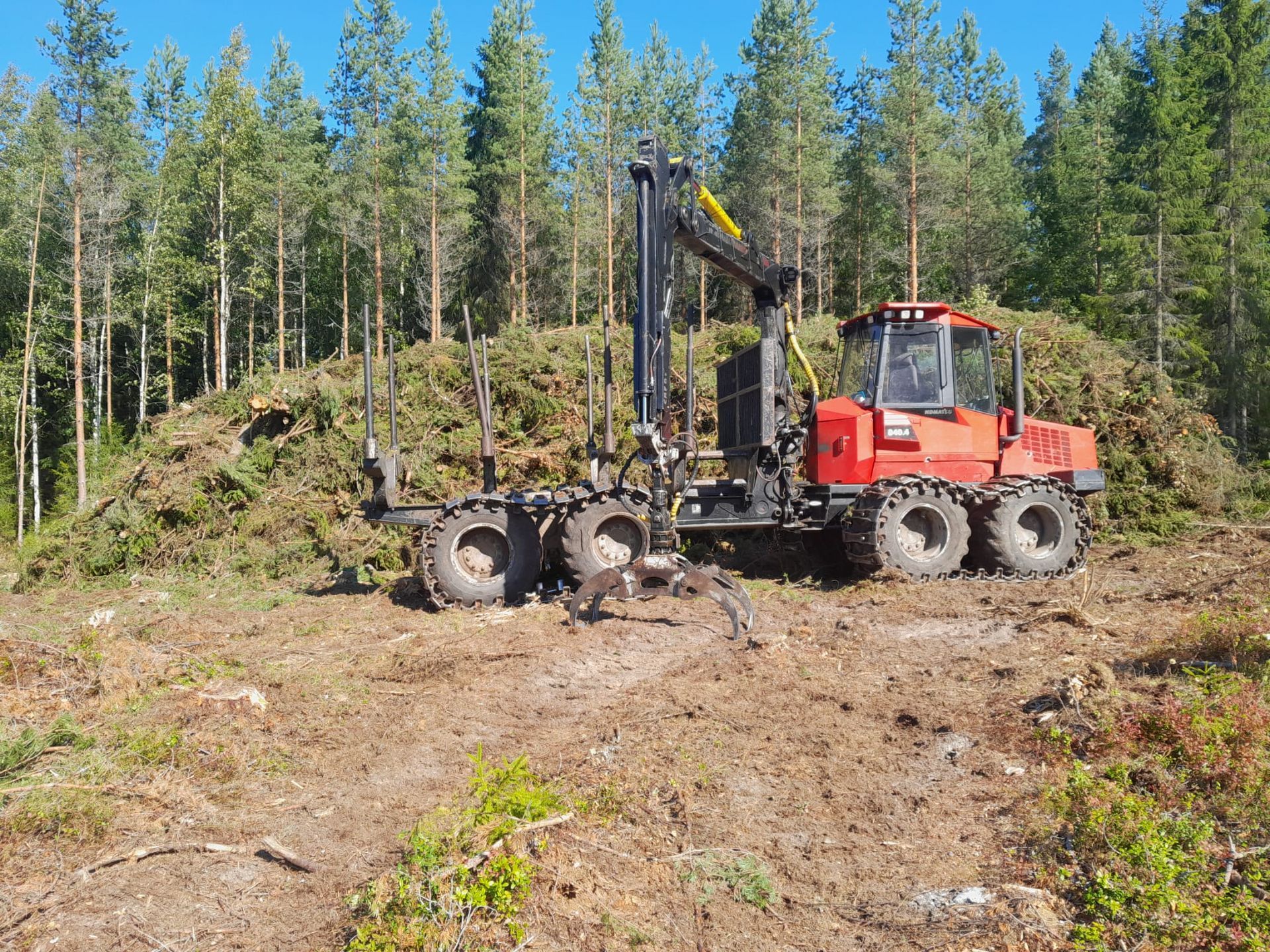 Punainen metsäkone metsässä työskentelee tukkien ja roskien kanssa. Aurinkoinen päivä.