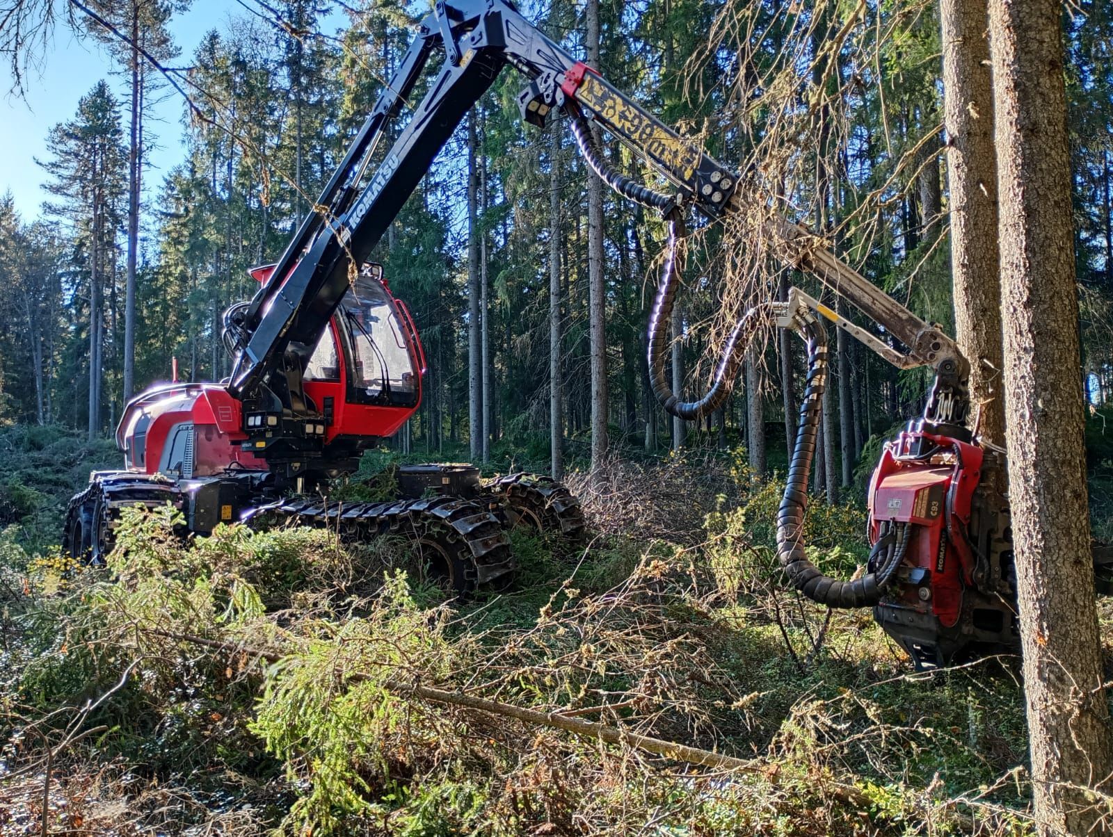 Punainen metsäkone raivaa pensaita metsässä.