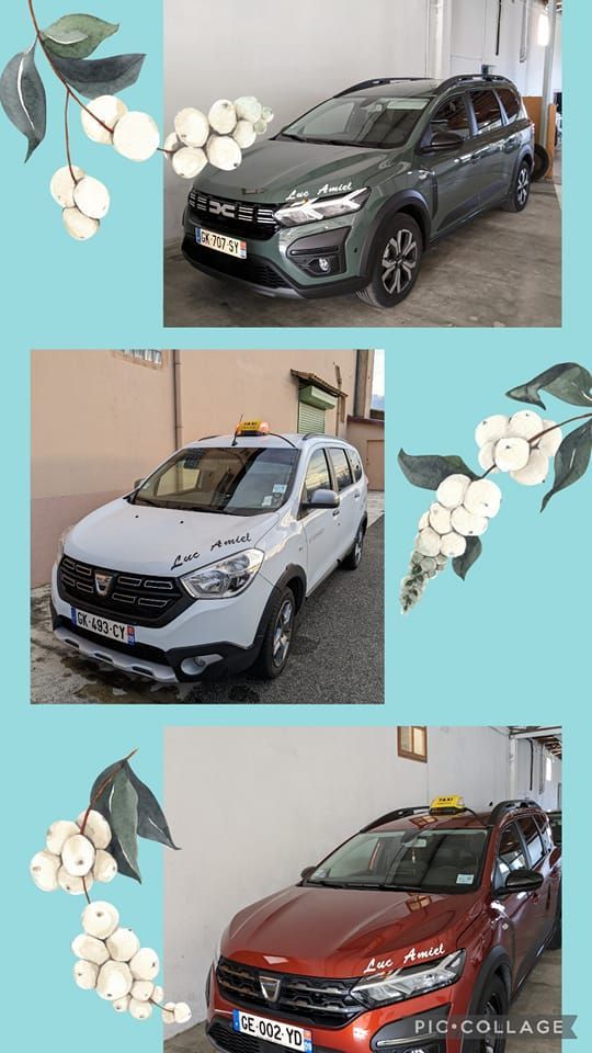 Compilation des photos de voiture de Luc Amiel